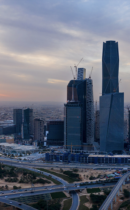 Financial Institutions 428X692 (1)